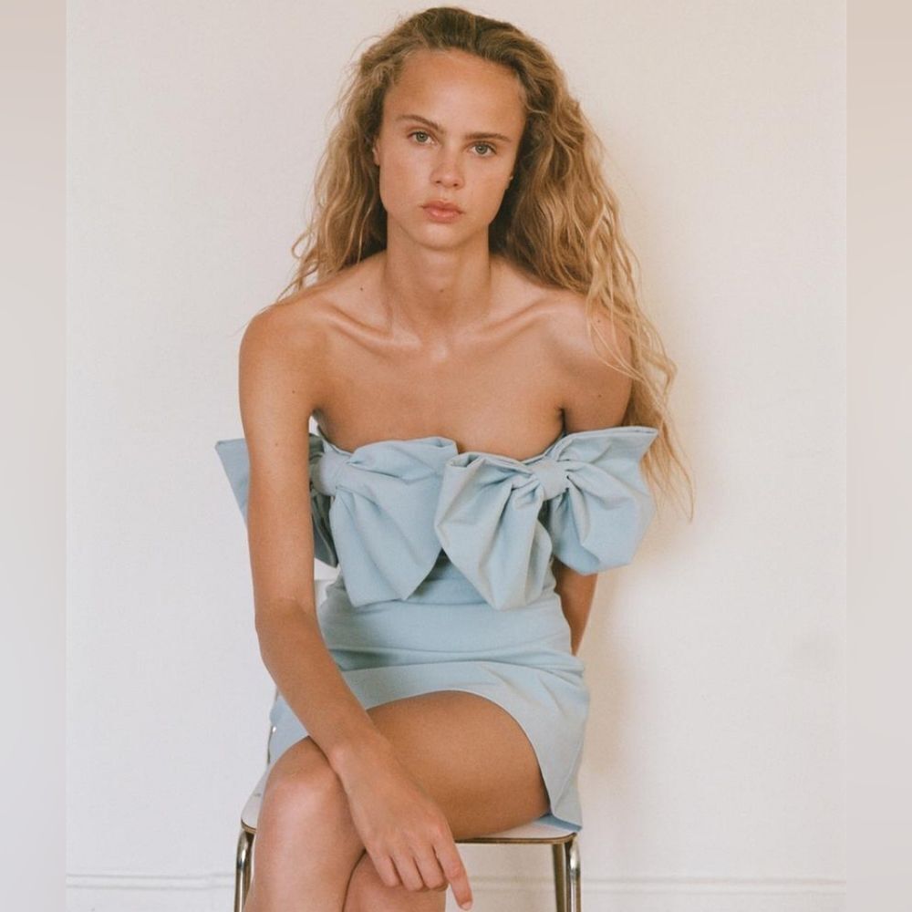 NWT ZARA STRAPLESS BOW DRESS - Picture 8 of 17